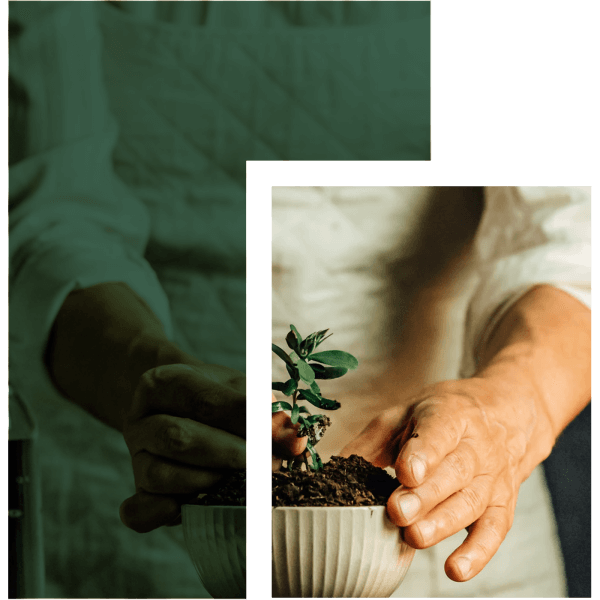 woman touching the plant